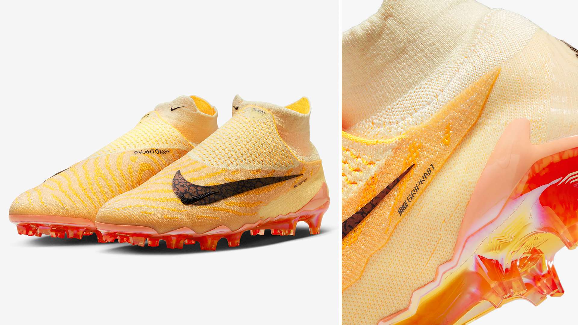 不容忽视的 不容忽视的