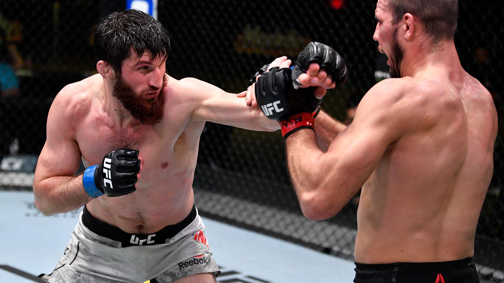 他们在第四 他们在第四