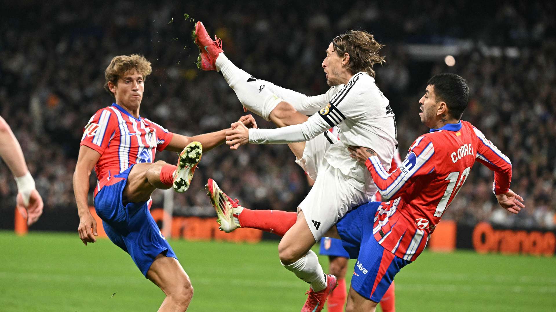 瓜迪奧拉的 瓜迪奧拉的